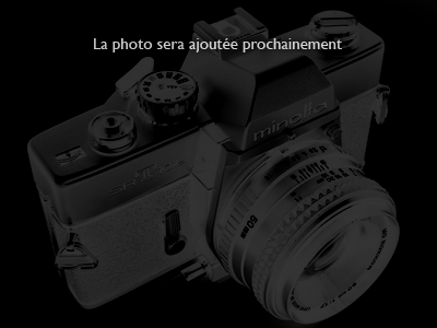 La photo n